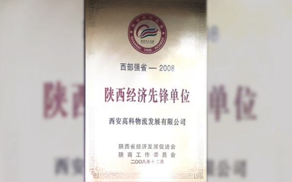 陜西經(jīng)濟(jì)先鋒單位.png